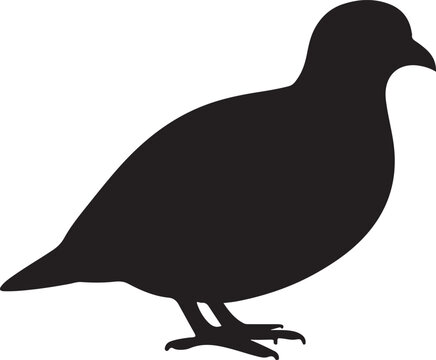 Black silhouette of a quail or partridge bird standing isolated on a white background