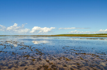 Paraíso Beach shines with blue tones, tropical breezes, and palm trees dancing under the sun on Boipeba Island, Bahia.