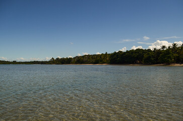 Palm trees cast gentle shadows over the blue waters of Paraíso Beach, a paradise on Boipeba Island, Brazil.