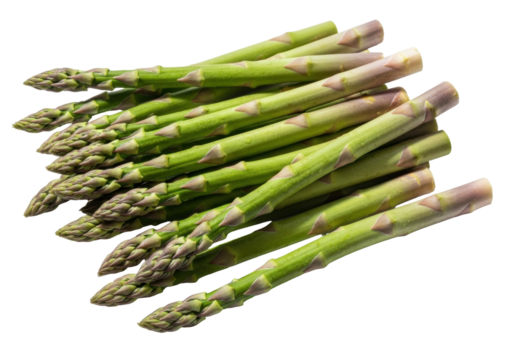 Isolated bundle of fresh green asparagus spears arranged together, organic food item