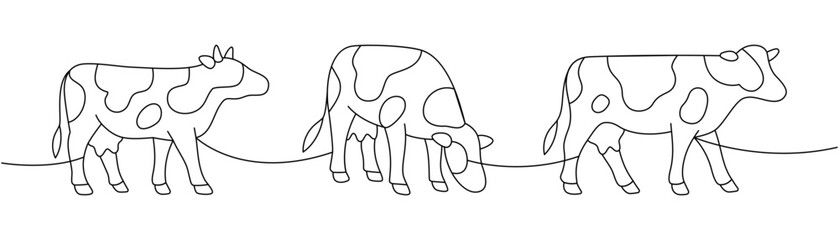 Three cows in a row. Continuous outline sketch symbolizing livestock herd and rural life