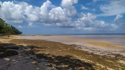 Blue waves roll softly against Paraíso Beach, shaded by palm trees on Boipeba Island, Bahia, Brazil.