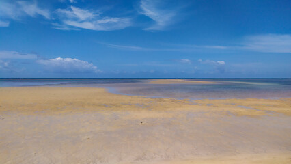 Paraíso Beach reveals crystal blue waters framed by a lone palm tree on Boipeba Island, Bahia, Brazil.