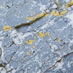 Textured gray rock surface with yellow lichen and fine cracks.
