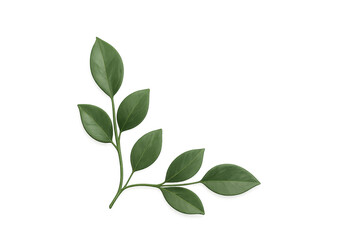 Green branch with fresh leaves, botanical element on transparent background, symbolizing nature, growth, and eco-friendly concepts