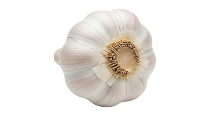 Fresh garlic bulb isolated PNG on transparent background, healthy cooking ingredient for flavoring and culinary use, aromatic vegetable
