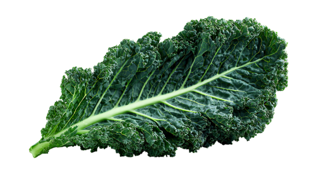Curly kale leaf isolated.