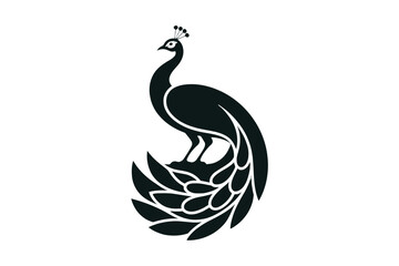 Obraz premium Silhouette of a peacock with its tail fanned out in a decorative pattern on a white background Keywords: peacock, bird, silhouette, animal
