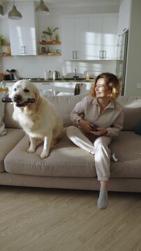 Golden Retriever Sitting On Sofa Holding Remote Playfully As If Choosing Favorite Pet Food Commercial Social Media Content Or Pet Friendly Restaurant Ad Showing Charming Lifestyle Moment