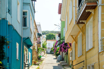 Fototapeta premium colorful houses in heybeliada island, istanbul