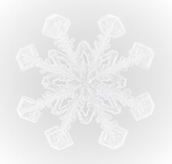 Frozen snowflake ice winter frost cold frame border white transparent decoration pattern.
