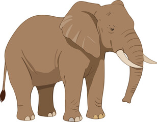 Cartoon elephant illustration, cute brown elephant standing, wildlife animal drawing, children’s educational art, safari jungle theme, tusks, trunk, ears, tail