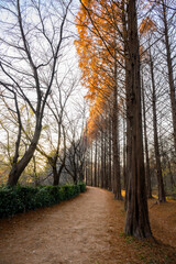 갈색으로 물든 가을의 공원 풍경 