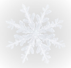 Frozen winter snowflake ice frost cold frame border white transparent decoration pattern.
