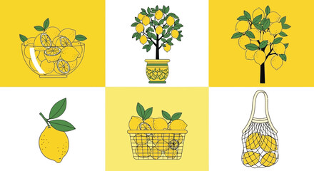 Lemon harvest vector illustration set for graphic design, lemon season harvest time design.