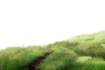 Naklejka premium path in the grass/narrow dirt path winding through lush green grass on a gentle hillside, creating a peaceful natural landscape.