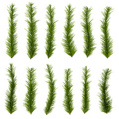 Christmas Pine Branches Set – Isolated Evergreen Decoration Pack