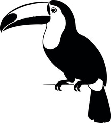 Naklejka premium Black toucan perched on branch bird white