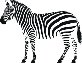 Black zebra silhouette standing animal wildlife