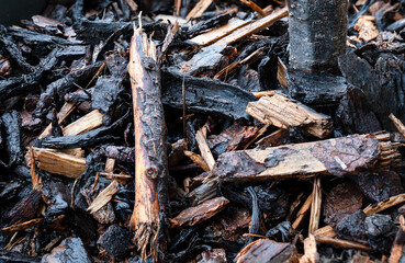 Wet Firewood Texture – Rain-Soaked Natural Wood Chips