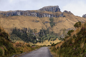 Carretera asfaltada que atraviesa un paisaje dramático de páramo en el Parque Nacional Natural Los Nevados, Colombia. Camino sinuoso hacia imponente formación rocosa de montaña y altos acantilados. Vi