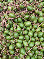 A close-up image of freshly harvested kedondong fruits (Spondias dulcis), densely packed with thin brown stems interwoven among the oval-shaped green fruits. 