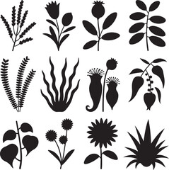 Variety of different plant silhouettes for graphic design and artwork
