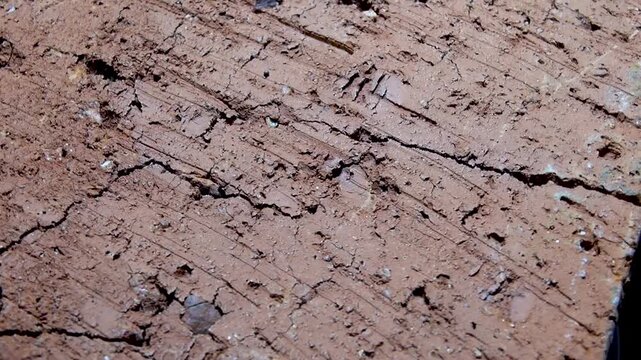 A close-up of a red brick fragment
