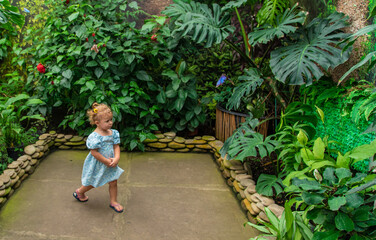 A child catches butterflies in a greenhouse. Selective focus.