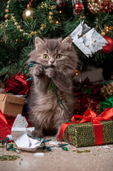 Playful Fluffy Kitten Making a Mess Under the Christmas Tree
