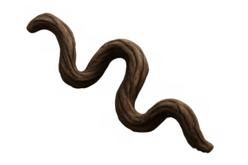 Twisted brown vine root against transparent background, natural organic woody jungle element, abstract serpentine branch shape