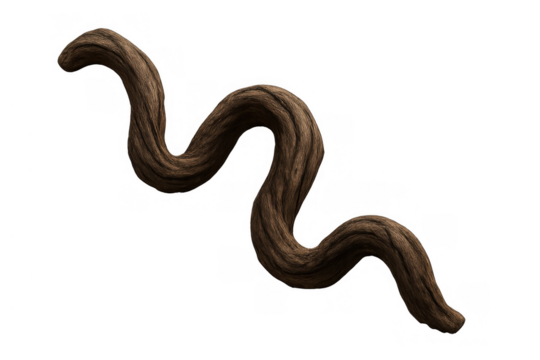 Twisted brown vine root against transparent background, natural organic woody jungle element, abstract serpentine branch shape