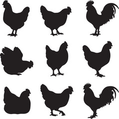 Assortment of Black Silhouette Chicken and Rooster Icons in Different Poses poultry bird on transparent background