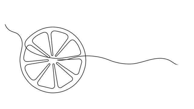 One line lemon animation. Continuous fruits and vegetables video. Natural, Self drawing simple animation of single continuous one line drawing of citrus fruit Lemon. Full length animation, Fresh lemon