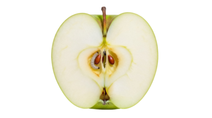 Half green apple with worm isolated PNG, fruit damaged by pest with seeds and core on transparent background, unhealthy food