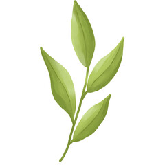 Watercolor Green Leaf Botanical Illustration