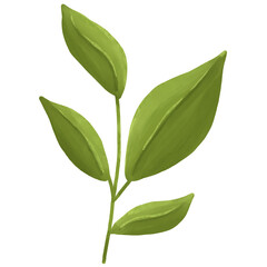 Watercolor Green Leaf Botanical Illustration