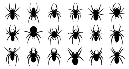 Spider collection shows various poses with clear curves. The insects appear natural and expressive in shape. The silhouettes have very high quality