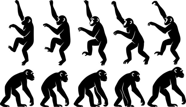 Monkey silhouettes show dynamic climbing gestures with expressive elongated poses. Each figure emphasizes active motion and natural anatomy. The silhouettes have very high quality