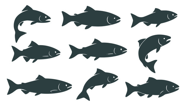 Fish silhouettes display streamlined bodies and clean curved lines in varied swimming poses. Each figure highlights natural aquatic motion and simple shape. The silhouettes have very high quality