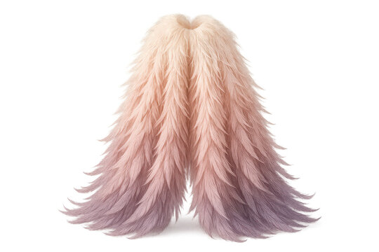 Abstract feather boa in pastel colors isolated on a transparent background
