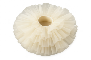 Elegant off-white tulle collar, layered ruffles isolated on transparent background
