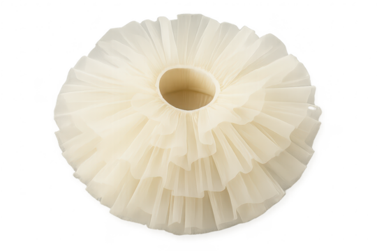 Elegant off-white tulle collar, layered ruffles isolated on transparent background