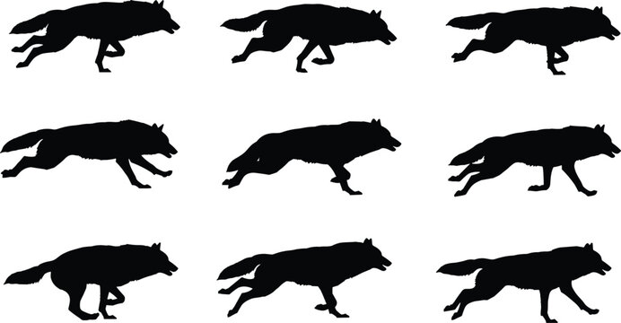 Illustration of a sequence of nine silhouette images showing a wolf running, each capturing a different phase of its stride