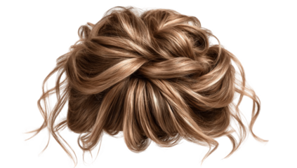 Elegant updo hairstyle (1)