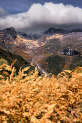 Primer plano de pasto dorado (pajonal) con valle profundo que conduce a imponentes montañas andinas volcánicas con manchas de nieve y nubes bajas, Vía a Murillo, Tolima, Colombia. Paisaje dramático de