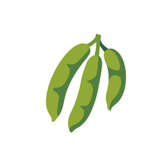 Fresh green beans pods vegetable bunch, isolated flat style vector illustration
