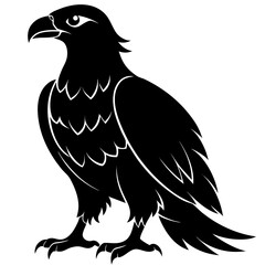 Buzzard vector clean black silhouette design white background