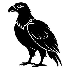 Buzzard vector clean black silhouette design white background