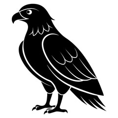 Buzzard vector clean black silhouette design white background